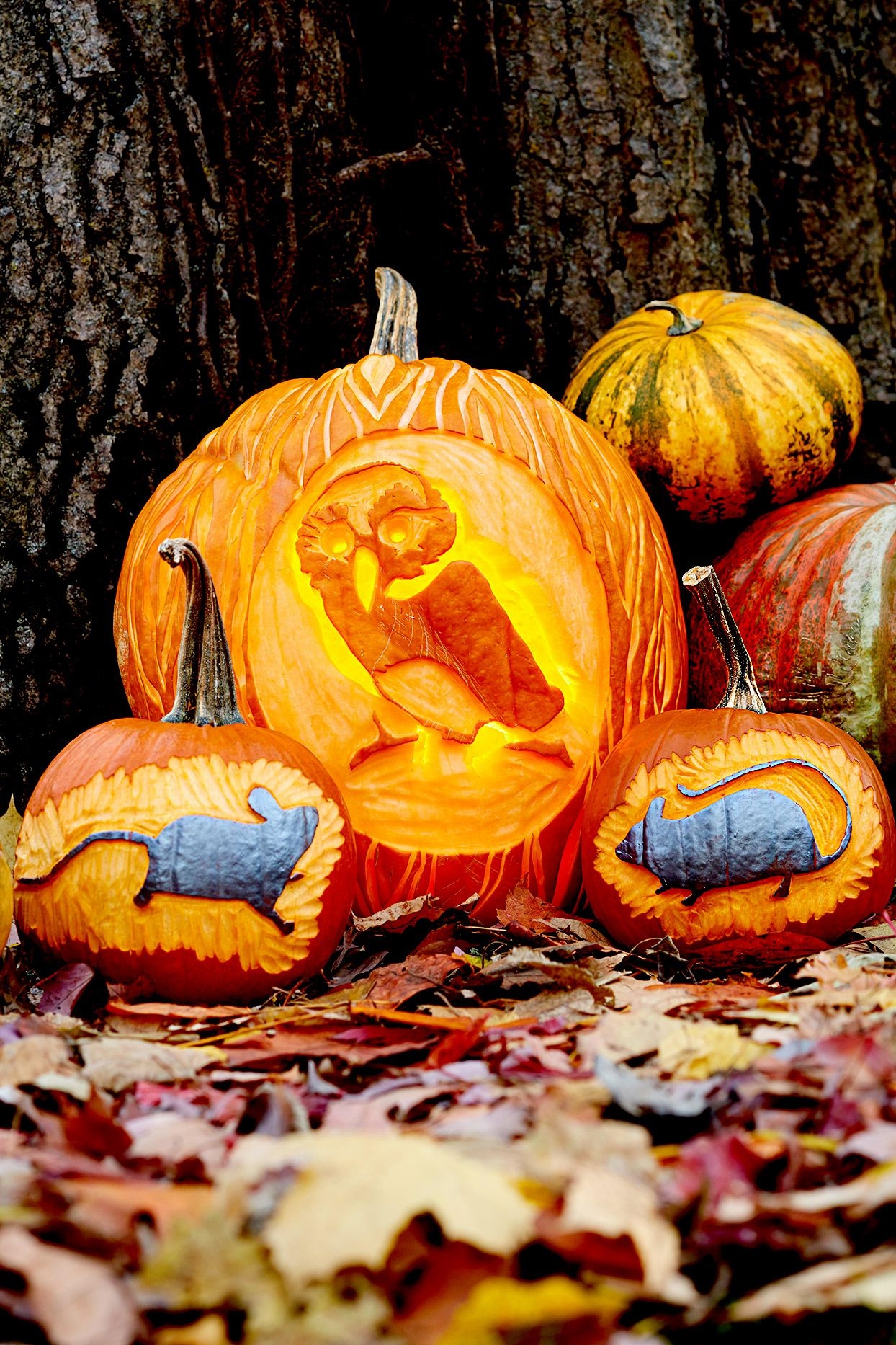 65 Free Pumpkin Carving Stencils To Personalize Your Porch Decor 65 Free Pumpkin Carving Stencils To Personalize Your Porch Decor