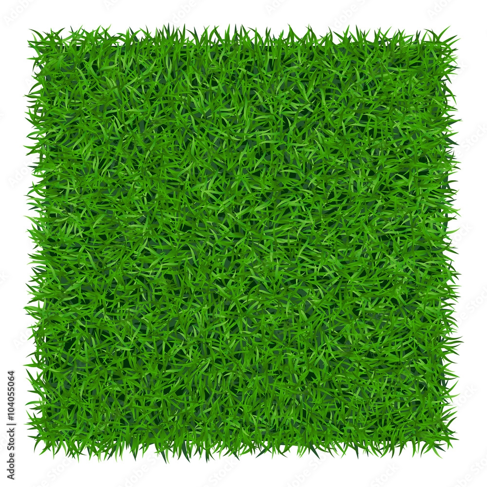 Green Grass Background Lawn Nature Abstract Field Texture Symbol Of Summer Plant Eco And Natural Growth Or Fresh Design For Card Banner Meadow Template For Print Products Vector Illustration Stock Vector Green Grass Background Lawn Nature Abstract Field Texture Symbol Of Summer Plant Eco And Natural Growth Or Fresh Design For Card Banner Meadow Template For Print Products Vector Illustration Stock Vector