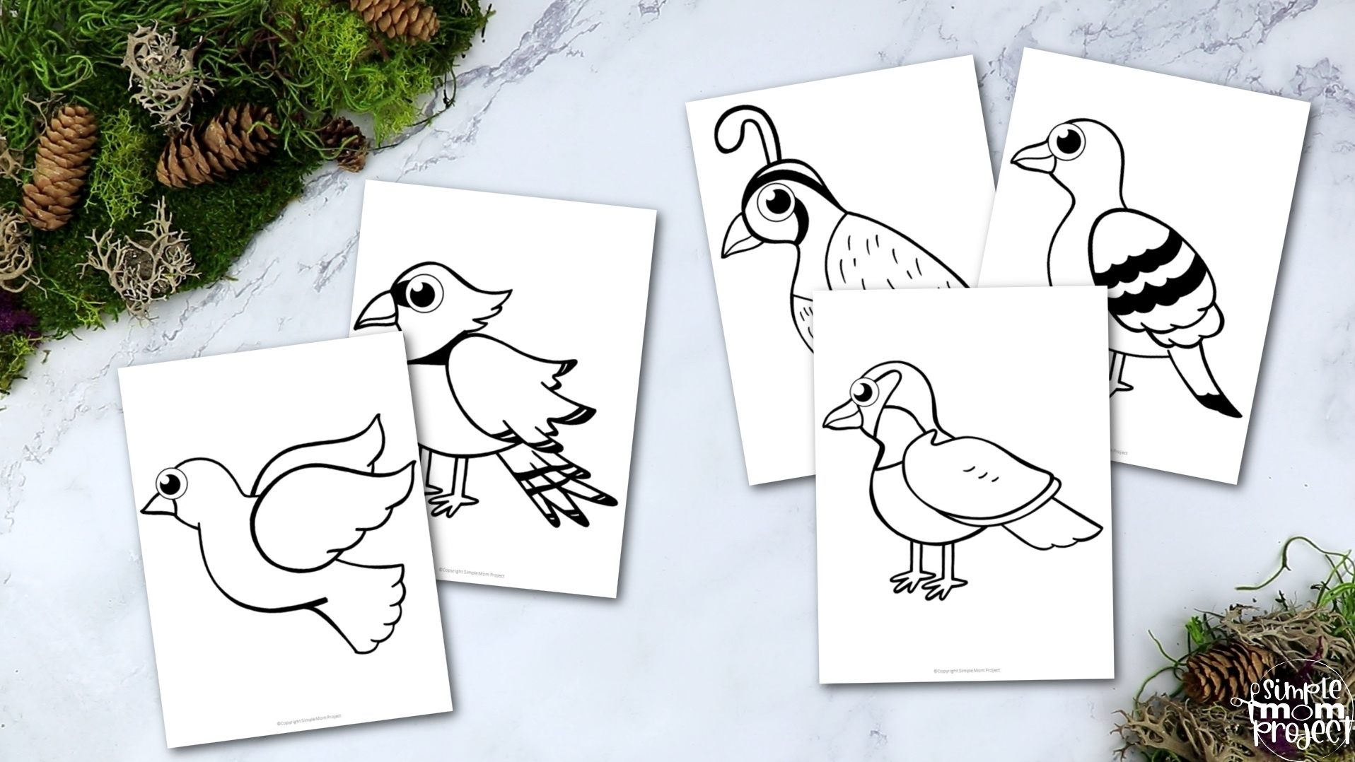 Template For Birds Printable