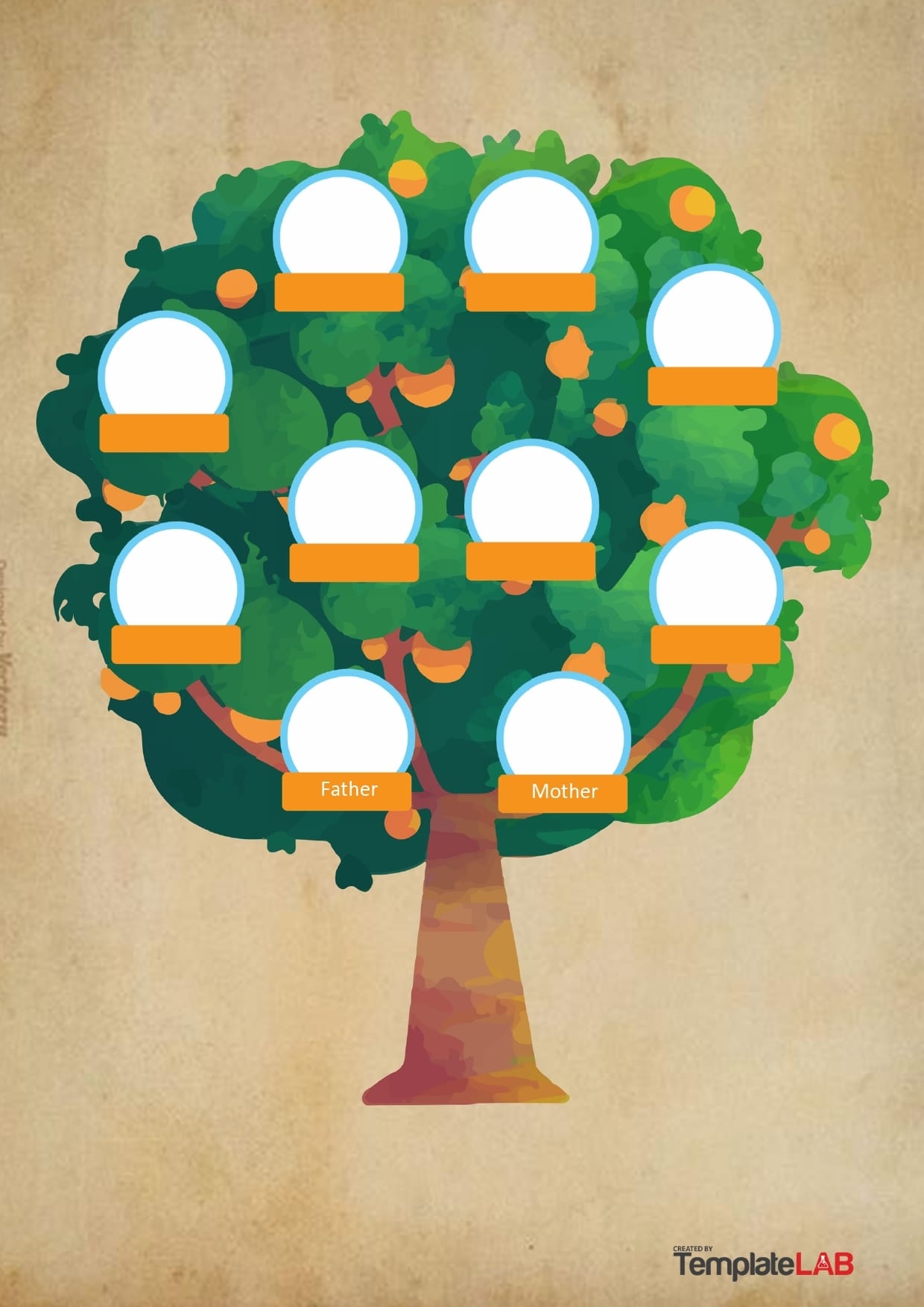 30 Editable Family Tree Templates 100 Free TemplateArchive 30 Editable Family Tree Templates 100 Free TemplateArchive