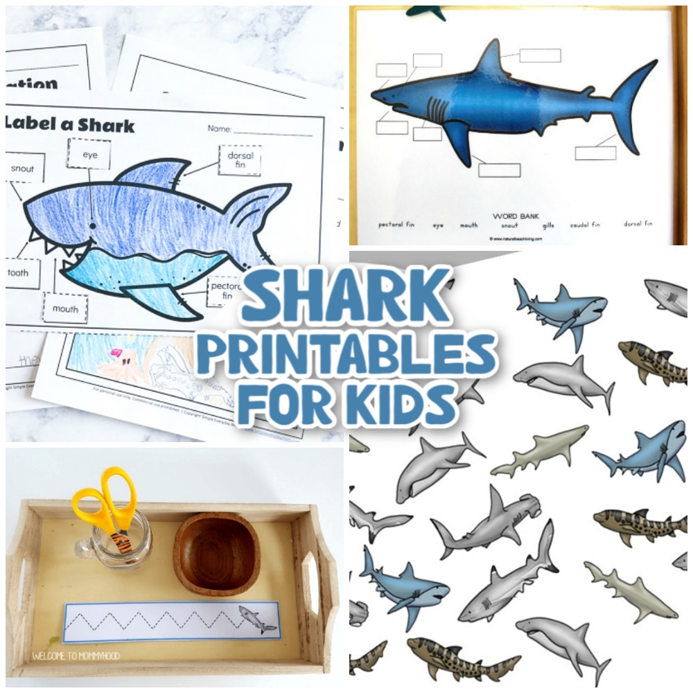 Shark Printable Template Shark Printable Template