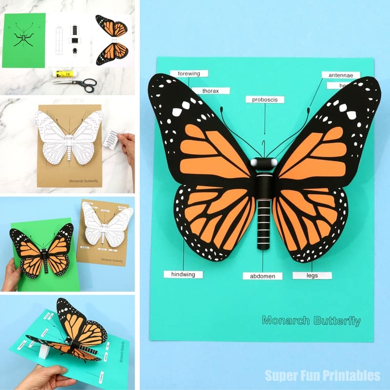 3D Monarch Butterfly Paper Craft The Craft Train 3D Monarch Butterfly Paper Craft The Craft Train