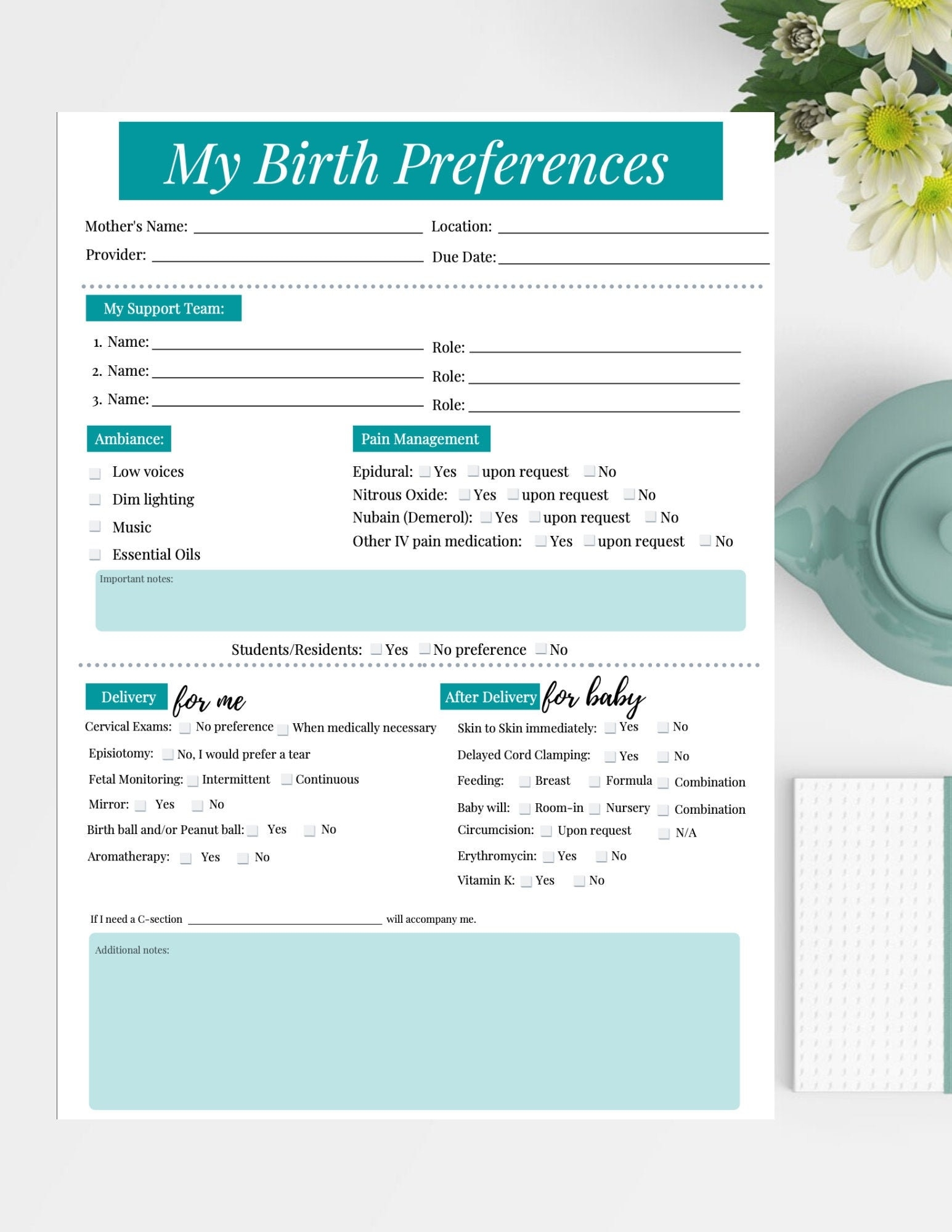 Birth Preferences Template Birth Plan Template Printable Birth Plan Template Etsy UK