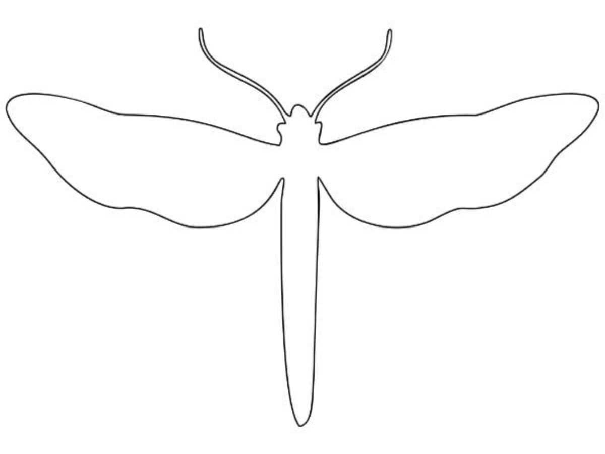 Dragonfly Template Printable Dragonfly Template Printable