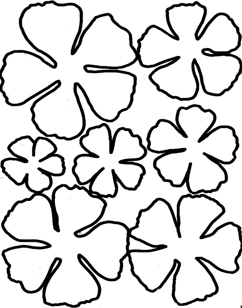 Flower Templates Printable Free Flower Templates Printable Free