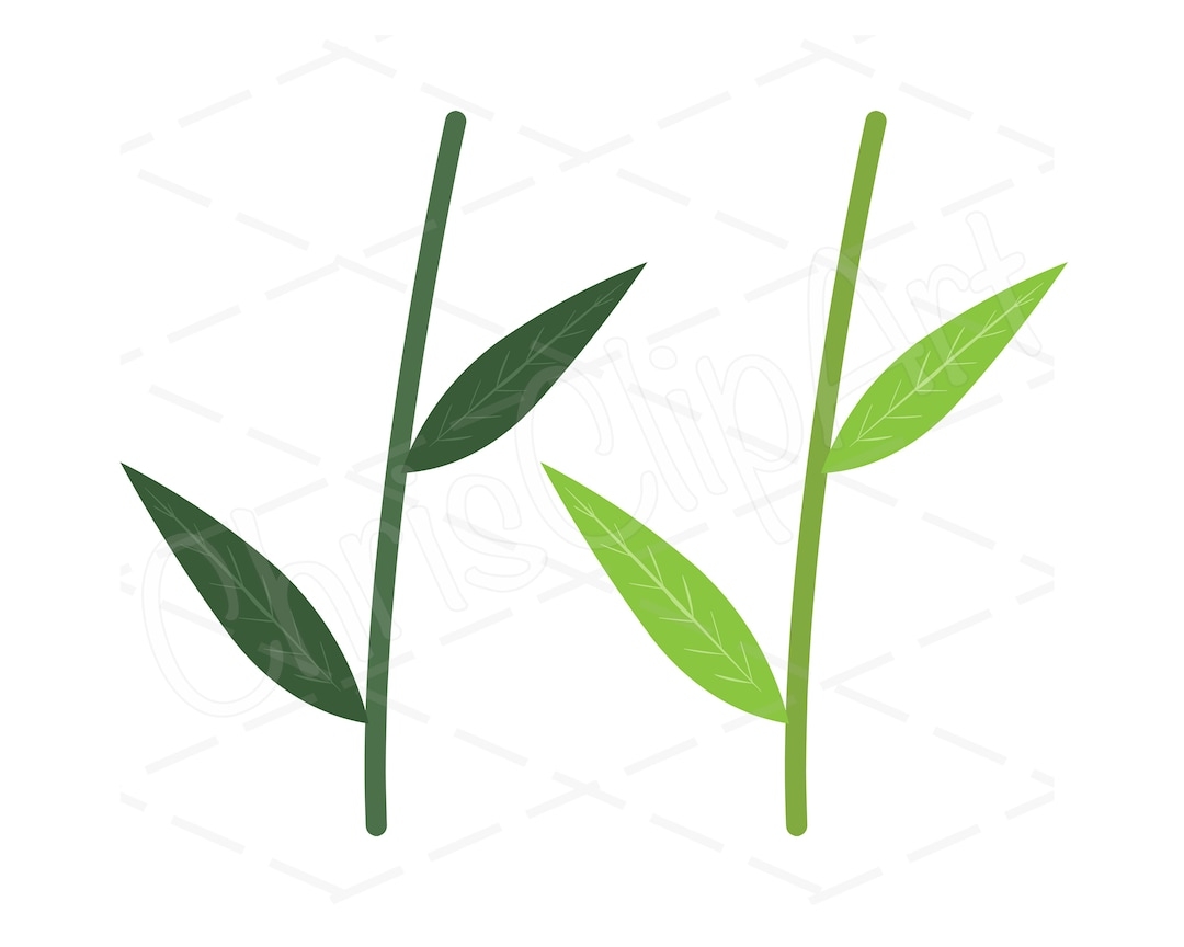 Flower Stem SVG PNG JPG Flower Stem Sublimation Bundle Of 2 Flower Stem Clipart Flower Stem Cricut Flower Stem Graphics Etsy Flower Stem SVG PNG JPG Flower Stem Sublimation Bundle Of 2 Flower Stem Clipart Flower Stem Cricut Flower Stem Graphics Etsy
