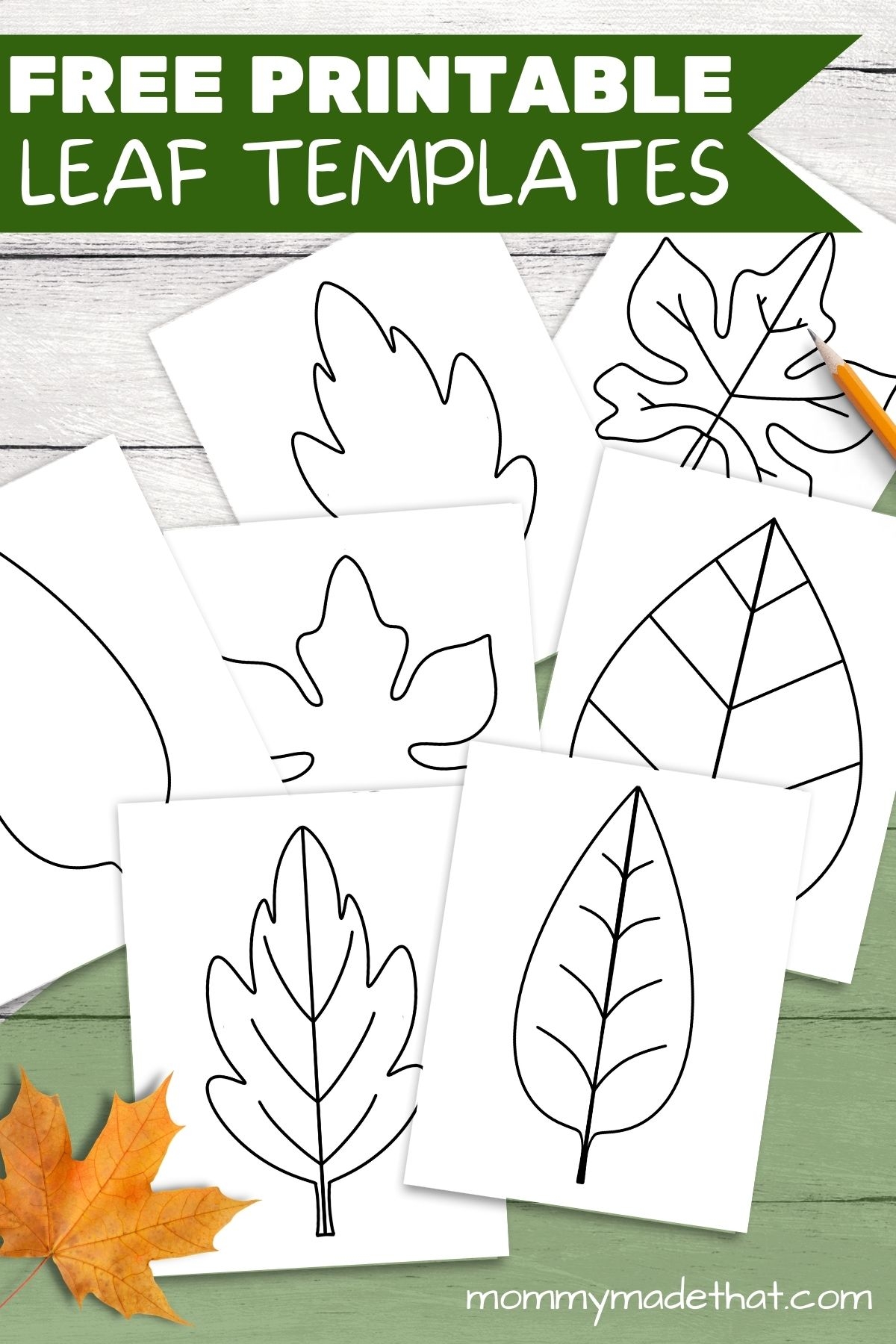 Leaf Template Printable Pdf Leaf Template Printable Pdf
