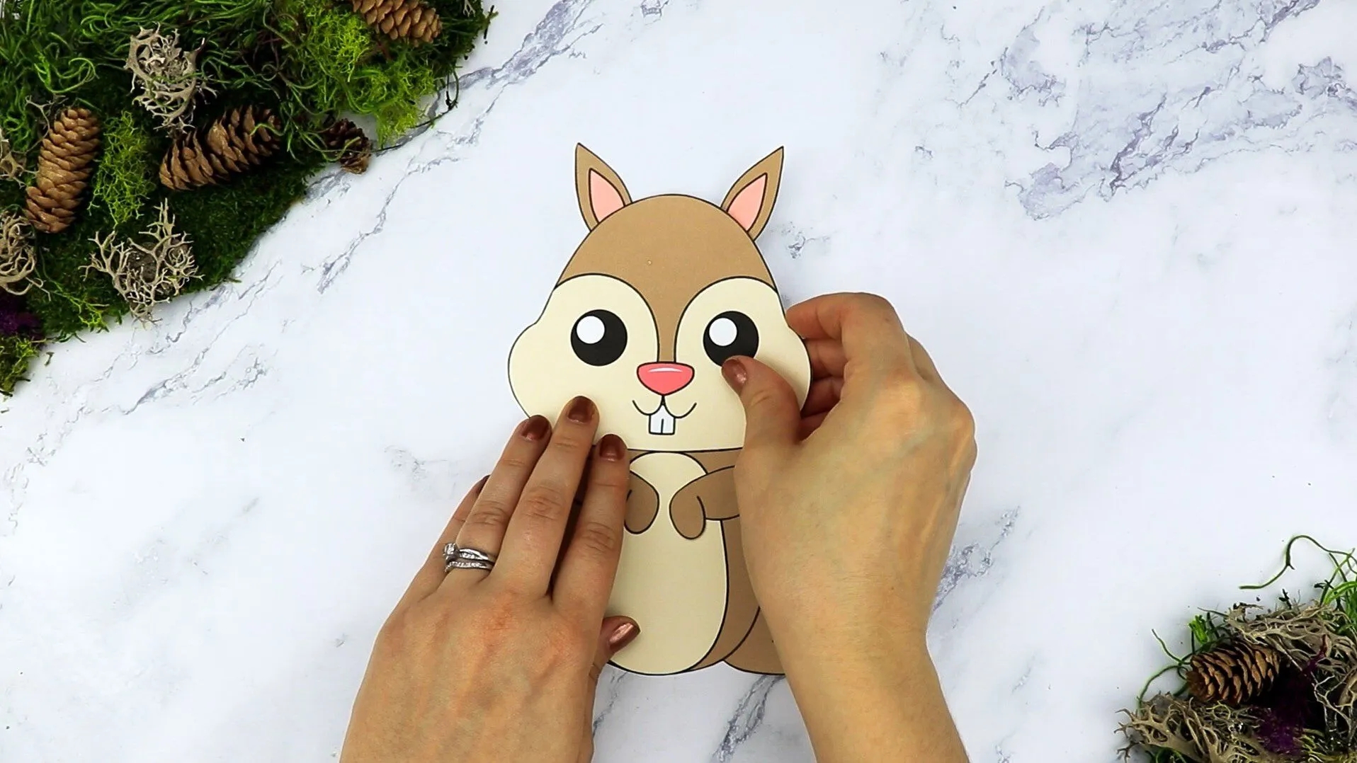 Free Printable Cut And Paste Squirrel Craft For Kids Simple Mom Project Free Printable Cut And Paste Squirrel Craft For Kids Simple Mom Project
