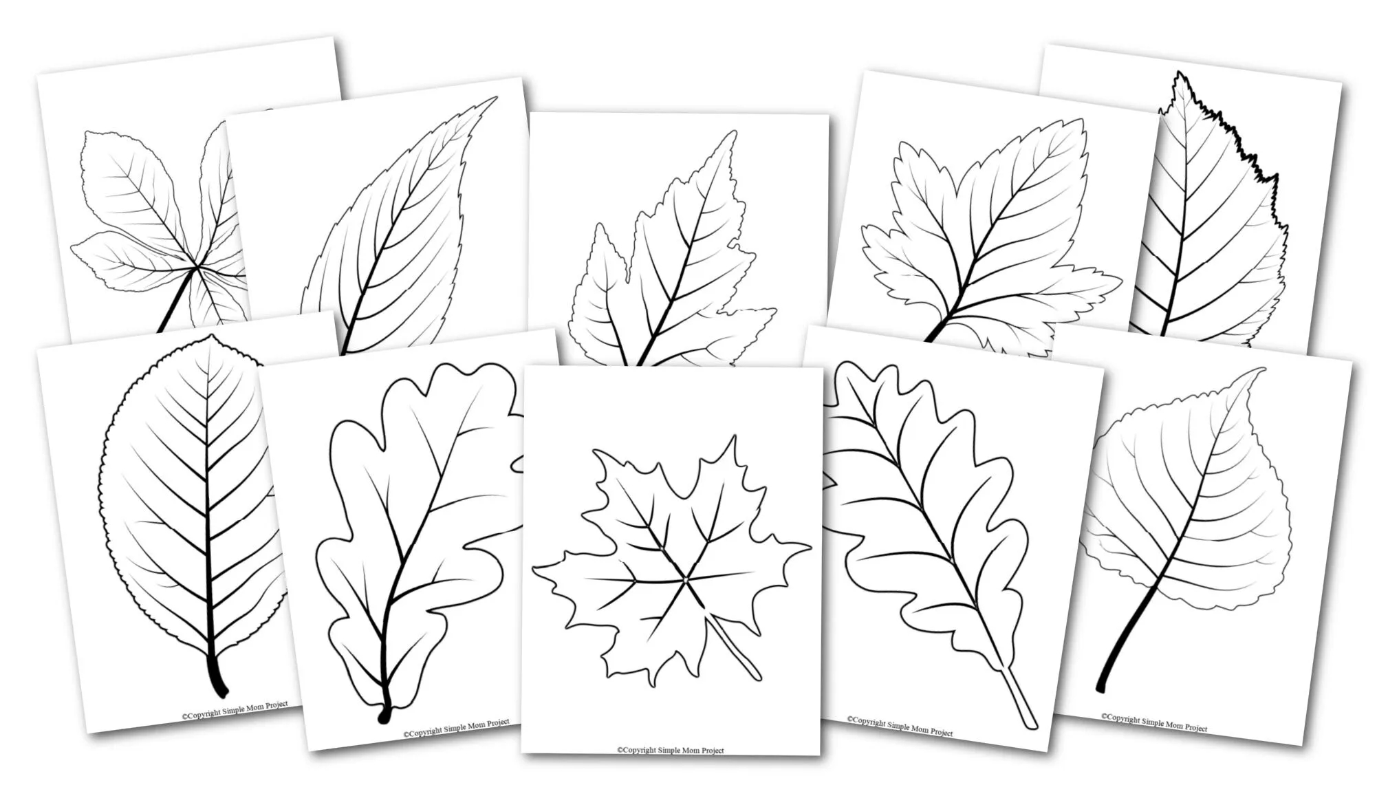 Leaf Templates Free Printables