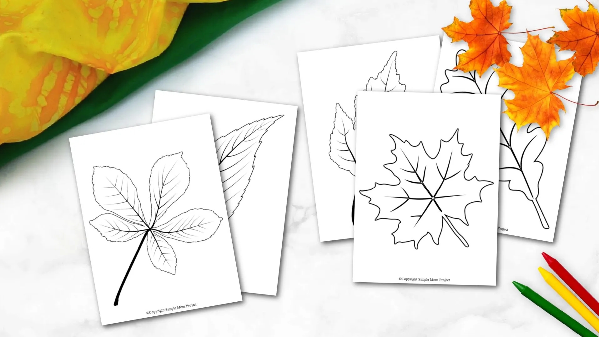 Autumn Leaf Template Printable
