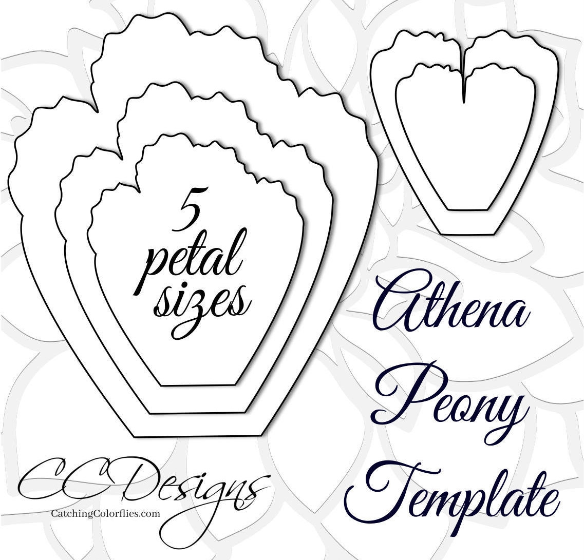 Giant Paper Peonies Printable PDF Flower Templates Peony PDF Templates Large Flower Templates Birthday Flower Backdrop Etsy Giant Paper Peonies Printable PDF Flower Templates Peony PDF Templates Large Flower Templates Birthday Flower Backdrop Etsy