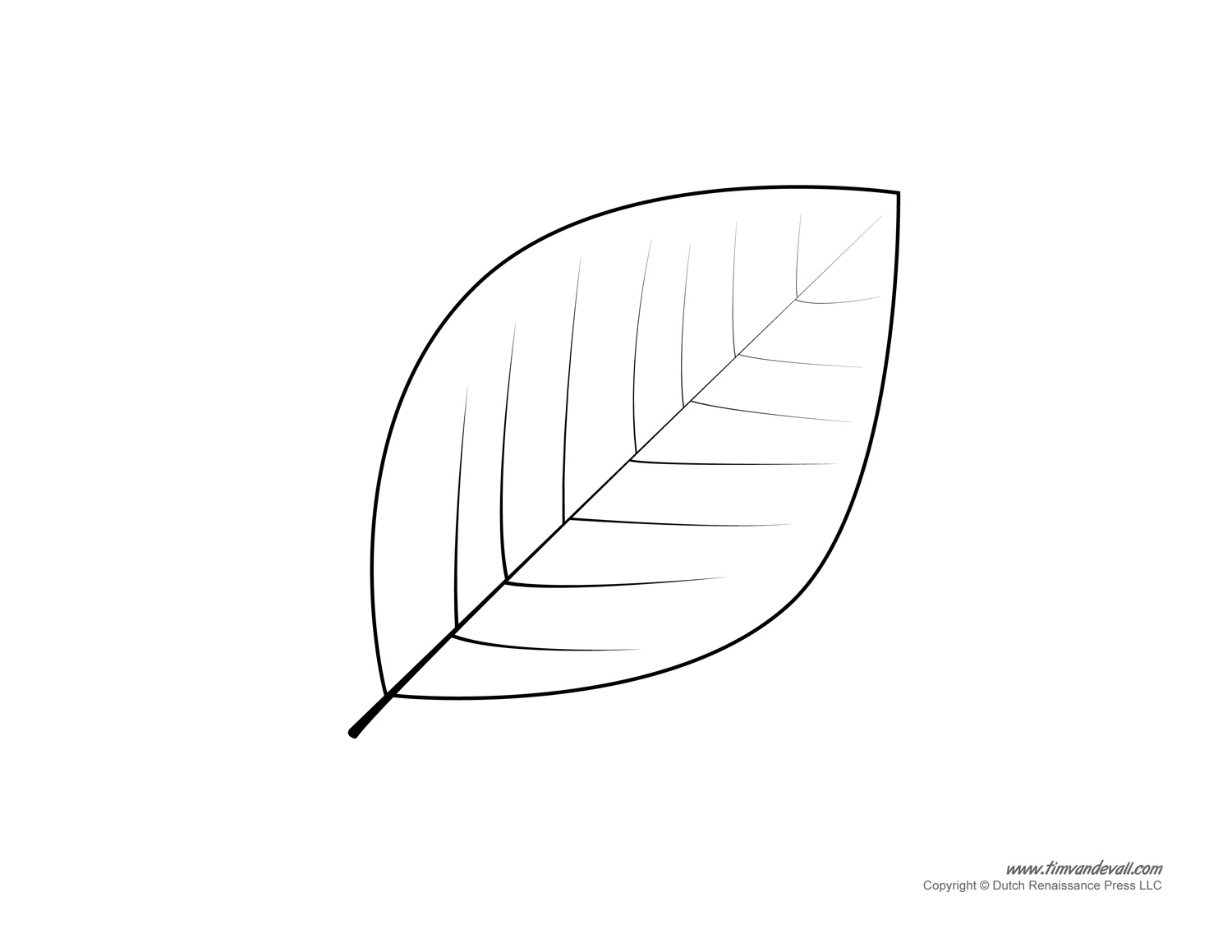 Leaf Templates Leaf Coloring Pages For Kids Leaf Printables Leaf Templates Leaf Coloring Pages For Kids Leaf Printables