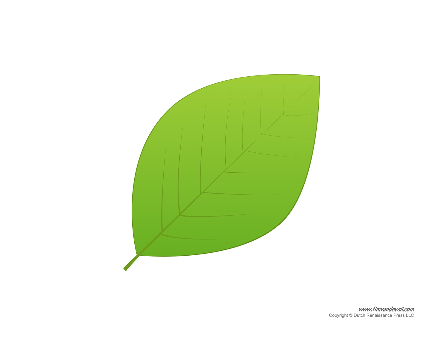 Leaf Templates Leaf Coloring Pages For Kids Leaf Printables Leaf Templates Leaf Coloring Pages For Kids Leaf Printables