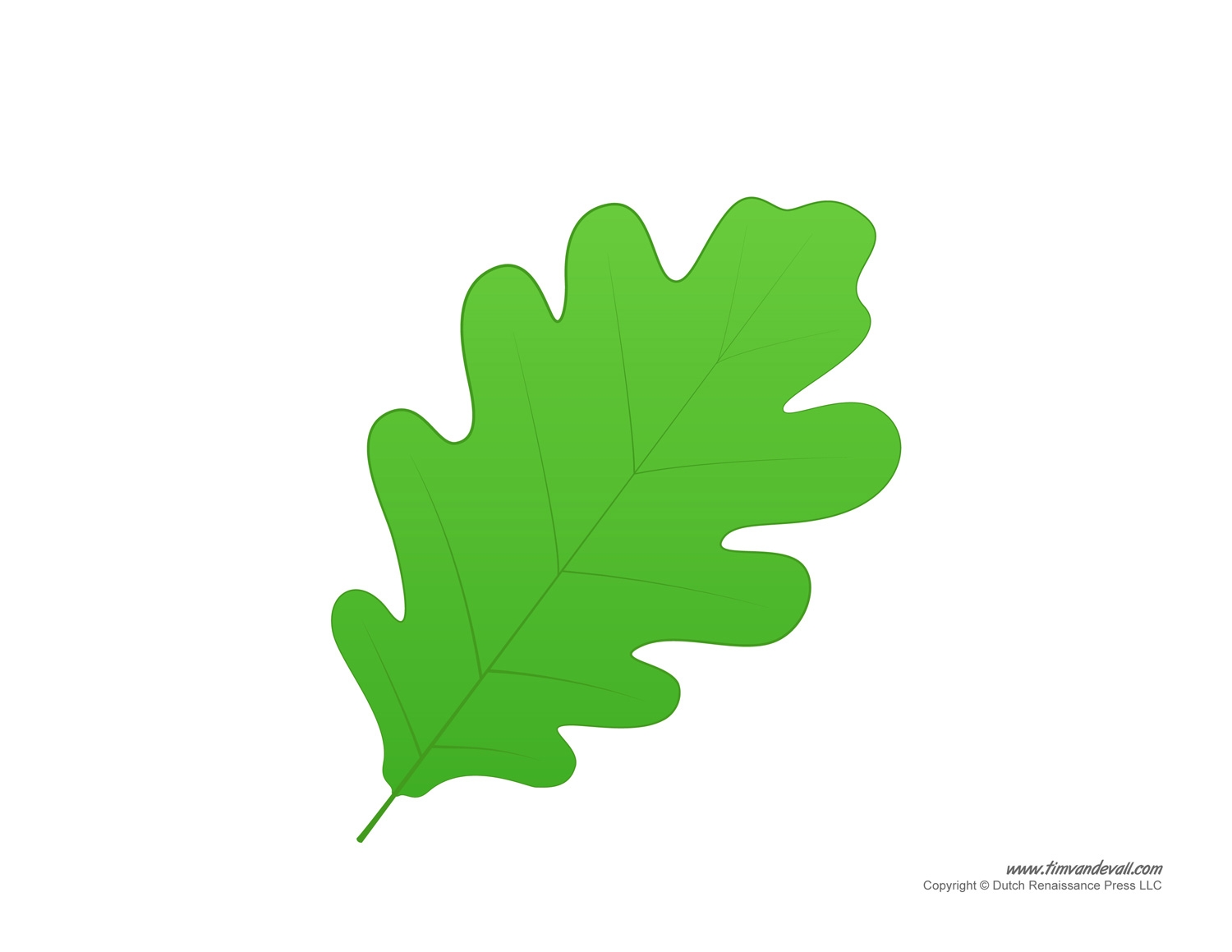 Leaf Templates Leaf Coloring Pages For Kids Leaf Printables Leaf Templates Leaf Coloring Pages For Kids Leaf Printables