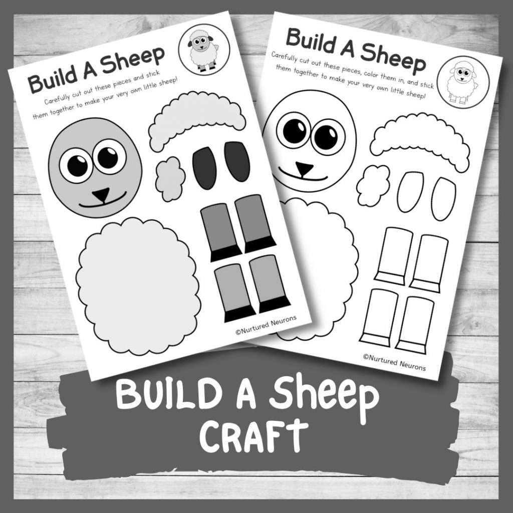 Make A Simple Sheep With This Build A Sheep Craft Nurtured Neurons Make A Simple Sheep With This Build A Sheep Craft Nurtured Neurons
