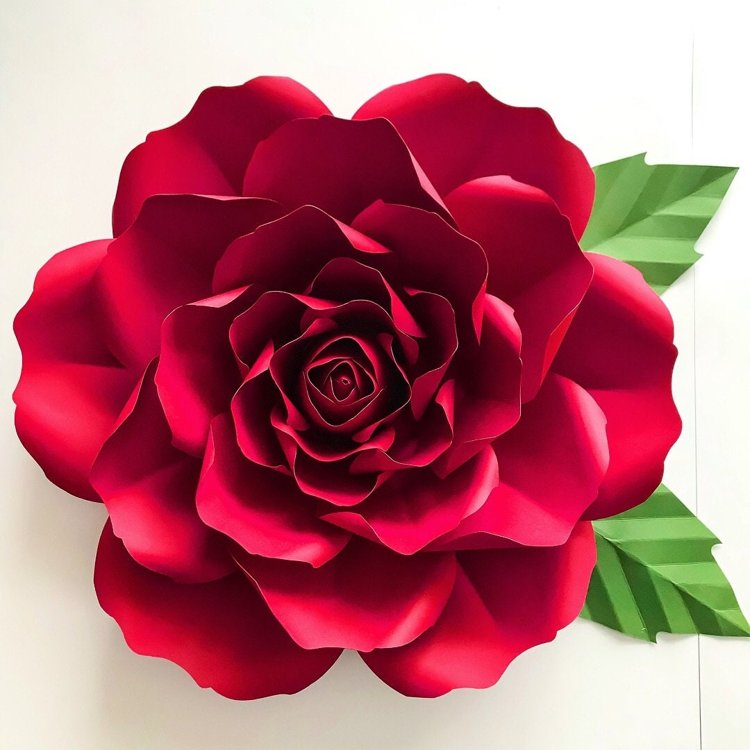 PDF Petal 167 Template Printable Manageable For Trace And Cut DIY Giant Paper Flower 3d Giant Paper Flowers For Wedding Decor And Events Etsy UK PDF Petal 167 Template Printable Manageable For Trace And Cut DIY Giant Paper Flower 3d Giant Paper Flowers For Wedding Decor And Events Etsy UK