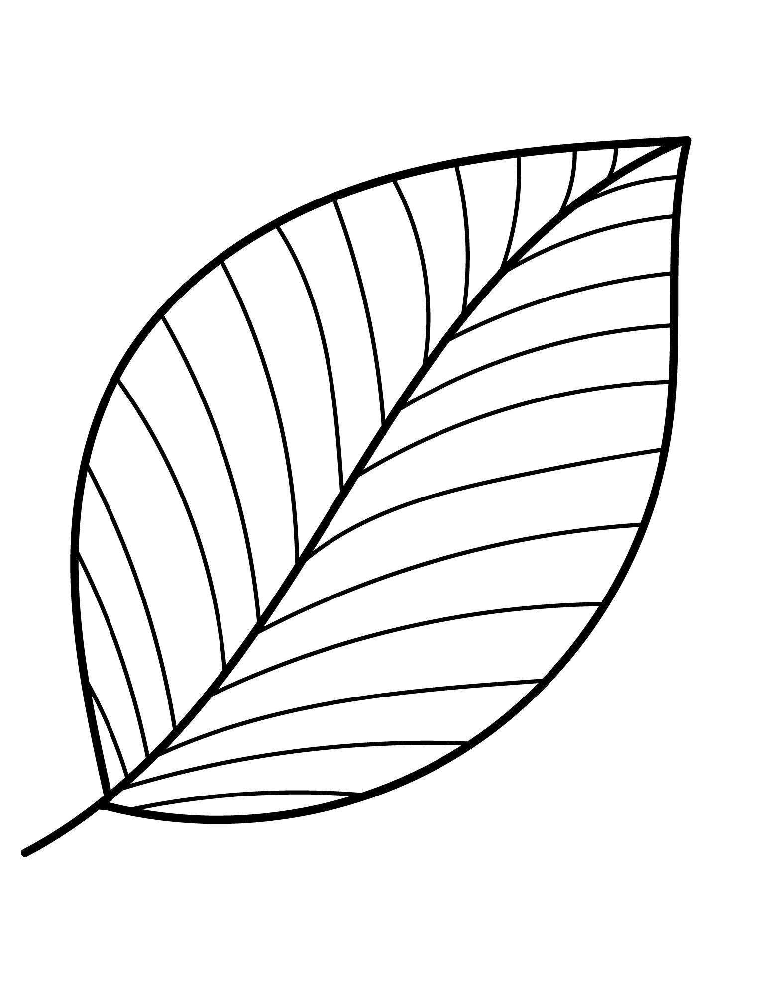 Printable Leaf Outline Templates Crafty Morning Printable Leaf Outline Templates Crafty Morning