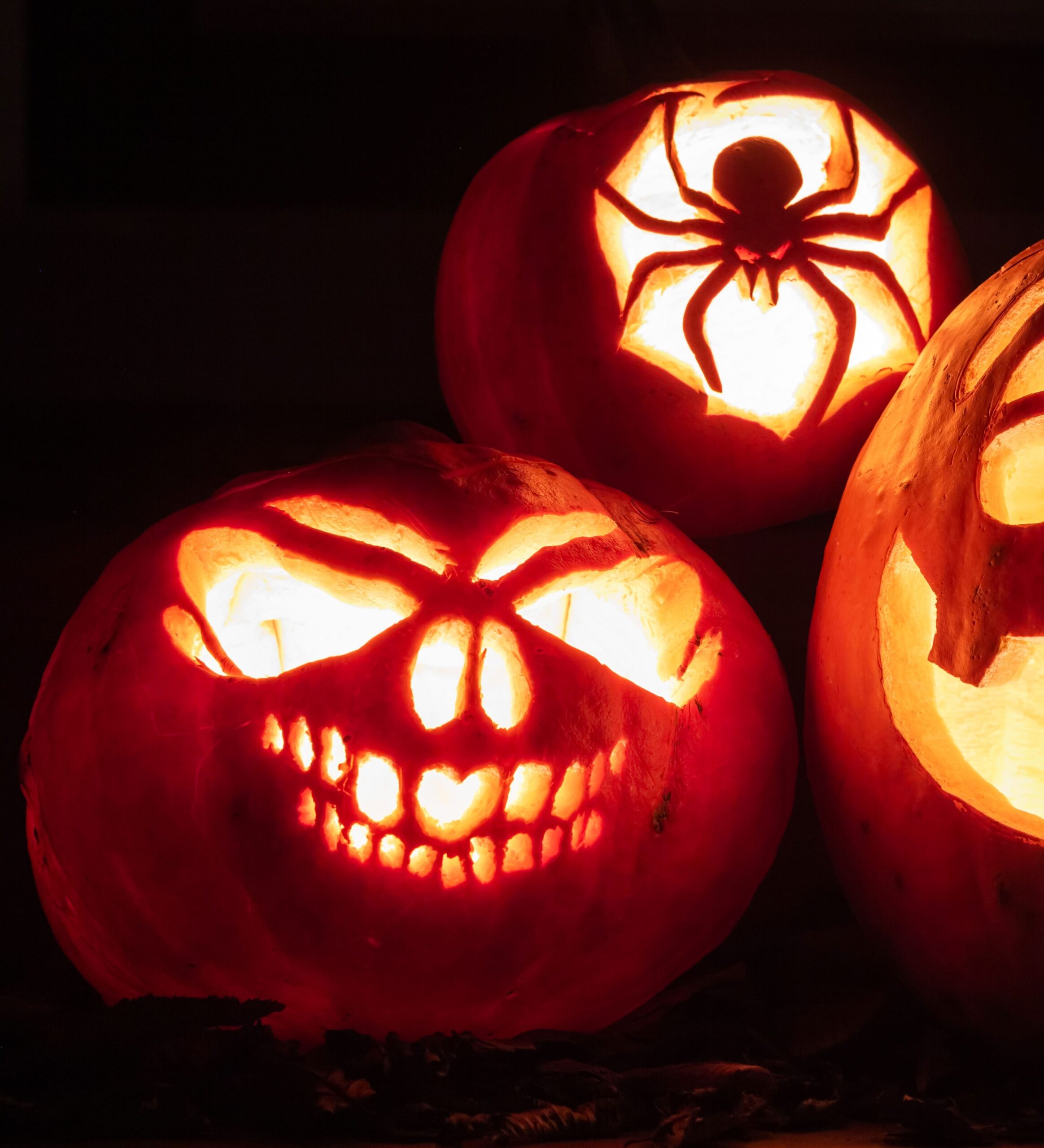 Pumpkin Carving Templates Good Food Pumpkin Carving Templates Good Food