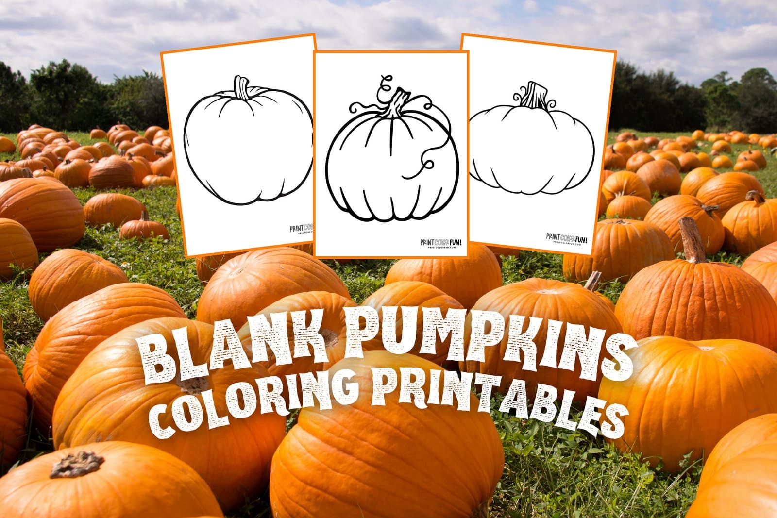 Printable Pumpkin Template Printable Pumpkin Template