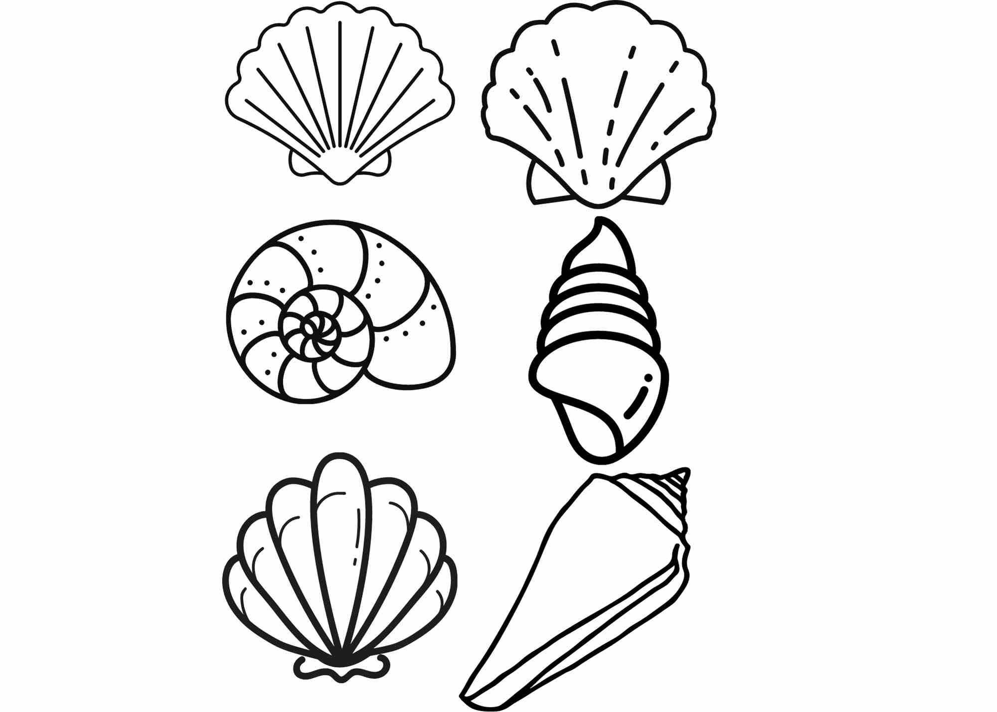 Sea Shell Ocean Beach Theme Modern Instant Digital Printable Download Template Clipart Cricut PDF SVG JPG Etsy UK Sea Shell Ocean Beach Theme Modern Instant Digital Printable Download Template Clipart Cricut PDF SVG JPG Etsy UK