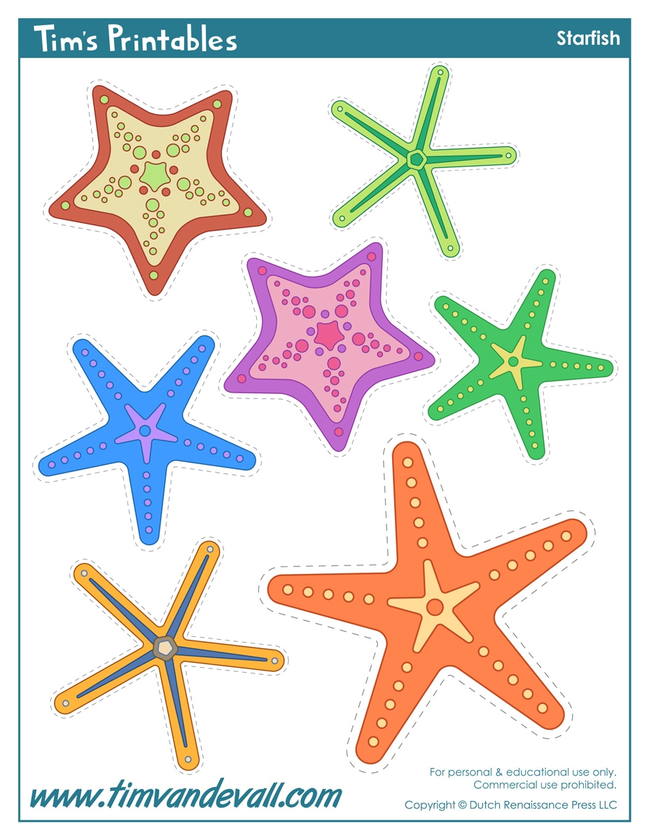 Starfish Template Sea Star Templates For Preschool Art Starfish Template Sea Star Templates For Preschool Art