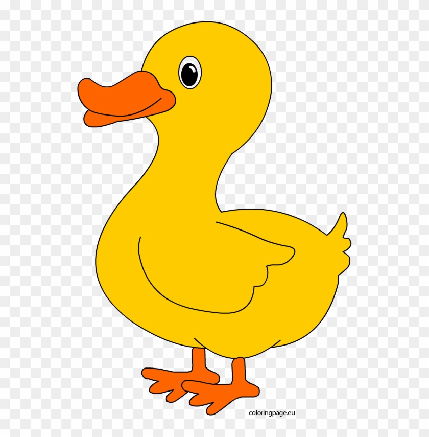 Template Of A Duck Free Transparent PNG Clipart Images Download Template Of A Duck Free Transparent PNG Clipart Images Download