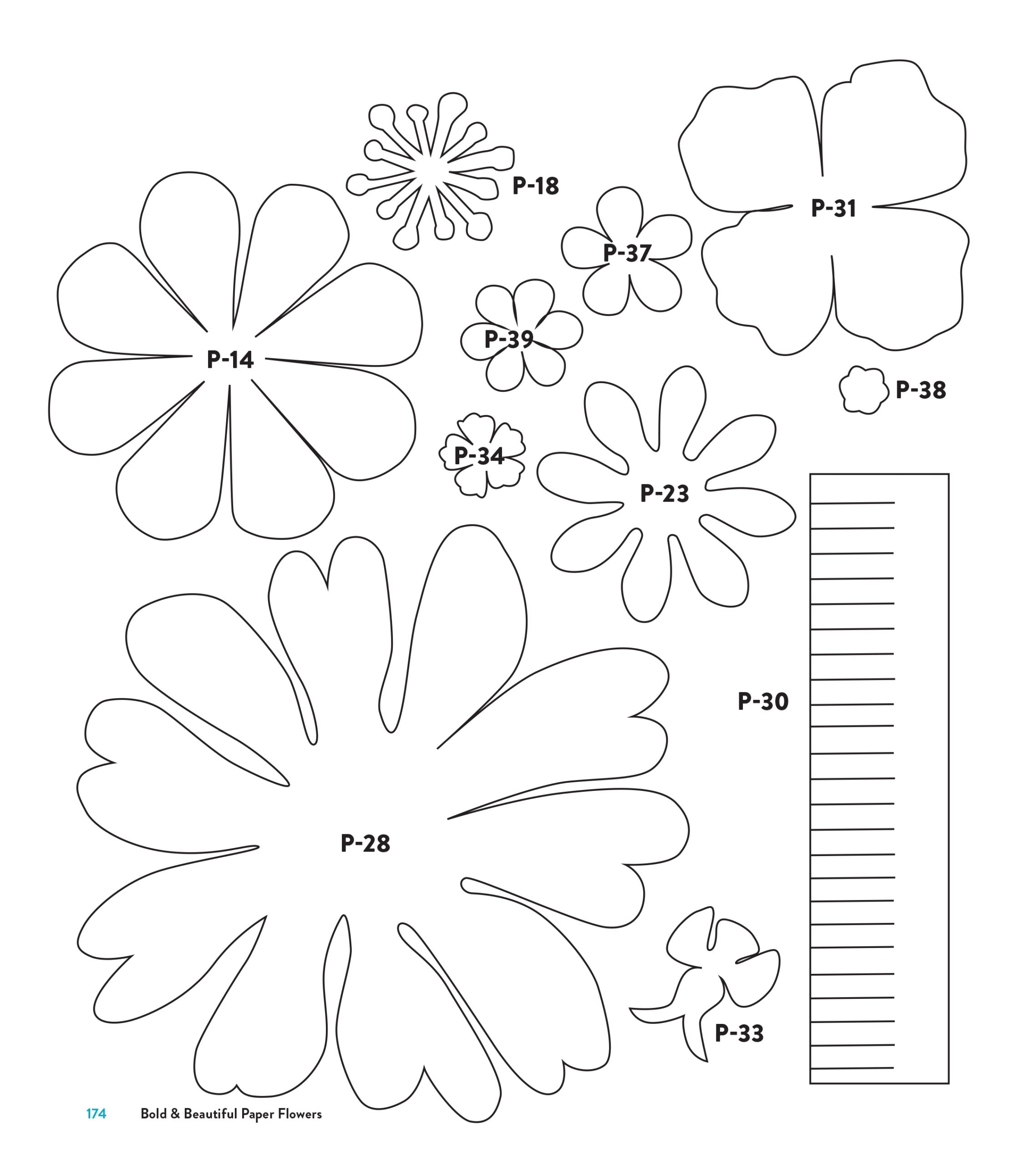 TEMPLATES TEMPLATES