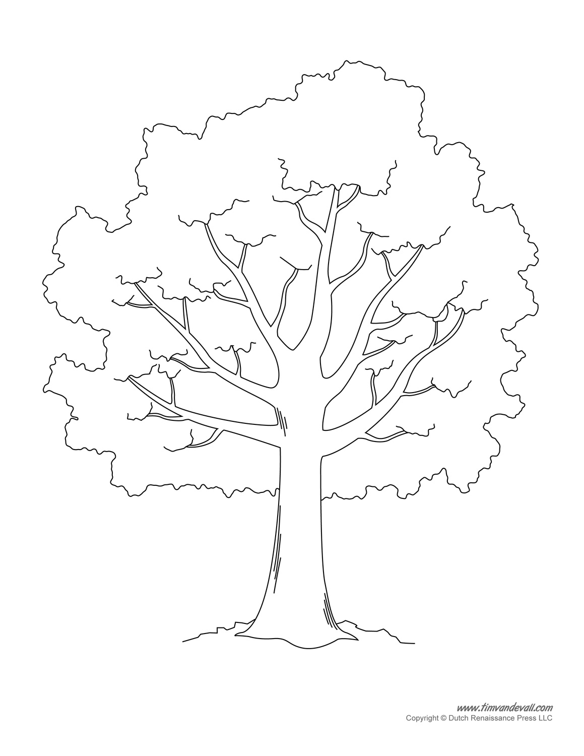 Tree Templates Tree Printables Tree Templates Tree Printables