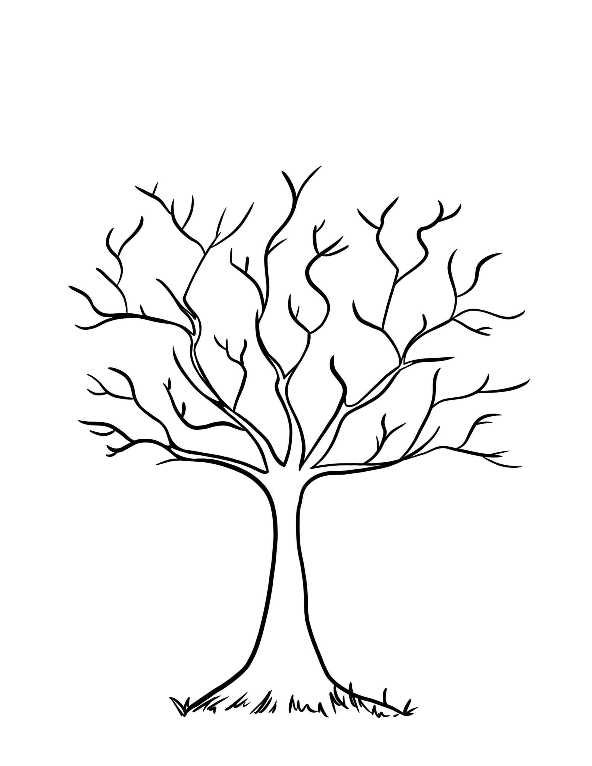 Tree Printable Template Tree Printable Template